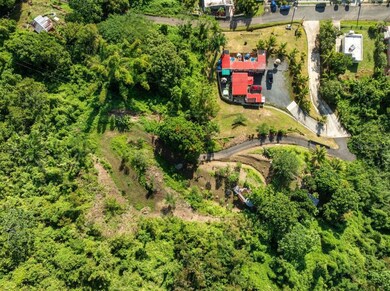 0 unit MFRPR9117727, Anasco, PR 00610 - photo 2