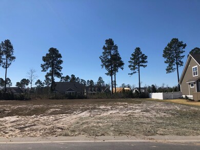 1381 Cross Water Cir, Leland, NC 28451 - photo 2