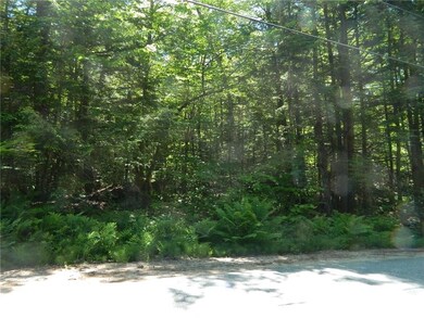 0 Wards Hill Rd unit 1292819, Baldwin, ME 04091 - photo 7