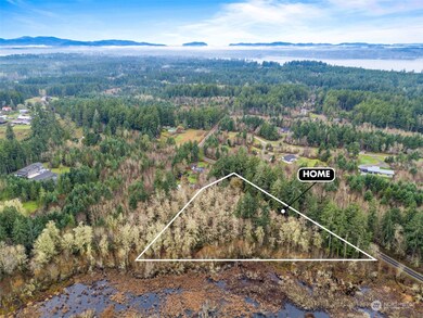 Property Lines-approximate