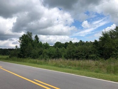 10.487 Brewer Rd, Louisburg, NC 27549 - photo 2