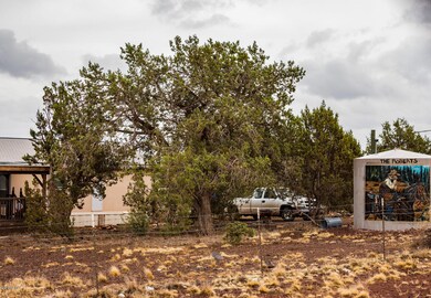 _DSC3749