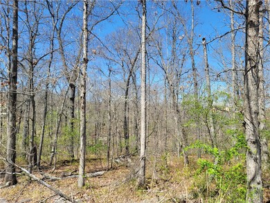 0 Ayton Ln unit 1271975, Bella Vista, AR 72714 - photo 3