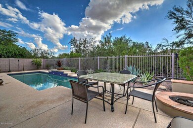 Backyard 5