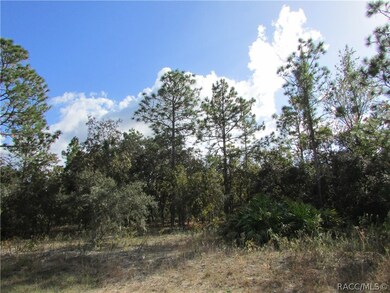 1778 E Ridgefield Dr, Hernando, FL 34442 - photo 2