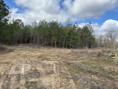 Tbd Hwy 112, Forest Hill, LA 71430 - photo 4