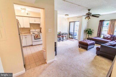 5804A Village Green Dr, Alexandria, VA 22309 - photo 6