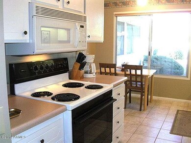 9610 W Appaloosa Dr, Sun City, AZ 85373 - photo 6