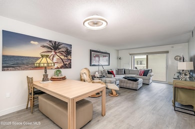 Spacious open living area