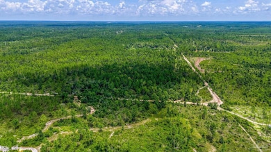 0 Timbercrest Rd unit 649777, Fountain, FL 32438 - photo 5