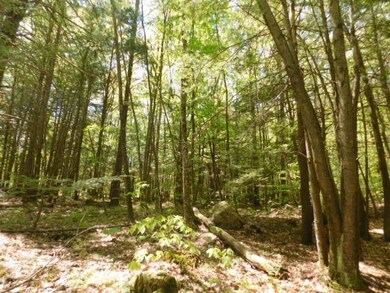 0 Pierce Ln unit 59, Westmoreland, NH 03467 - photo 2