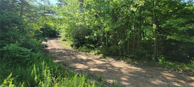 0 Winn Creek Rd, West Fork, AR 72774 - photo 3