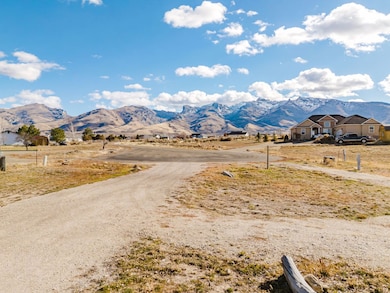 904 Buckskin Cir, Spring Creek, NV 89815 - photo 4