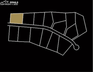 20374 Silverado Hill Loop, Colorado Springs, CO 80928 - photo 4