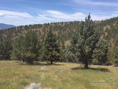 0 Shop Gulch unit 201705141, Mount Vernon, OR 97865 - photo 7