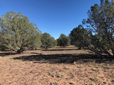 206 Brava Ln, Ash Fork, AZ 86320 - photo 6