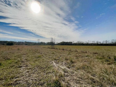 7474 Lemon Rd, Slaughter, LA 70777 - photo 3