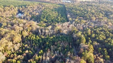 10414 Cactus Rd, Ore City, TX 75683 - photo 4