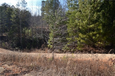 320 Laurel Branch Trail, Tamassee, SC 29686 - photo 3