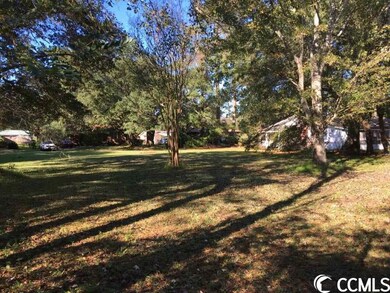 TBD Wren St, Georgetown, SC 29440 - photo 5