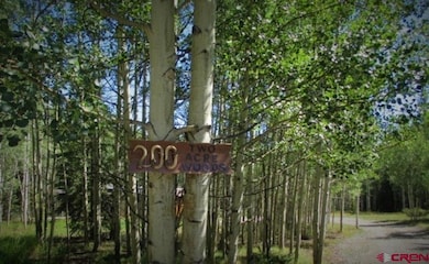200 Hazel Lake Dr, Cimarron, CO 81220 - photo 2