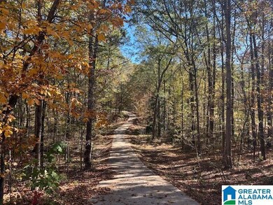 3504 Sharon Ln, Bessemer, AL 35023 - photo 2