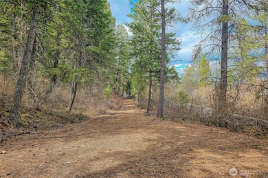 4700 E Deer Park Milan Rd, Chattaroy, WA 99003 - photo 2