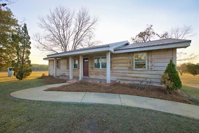 1067 Wade Rd, Pelham, GA 31779 - photo 2