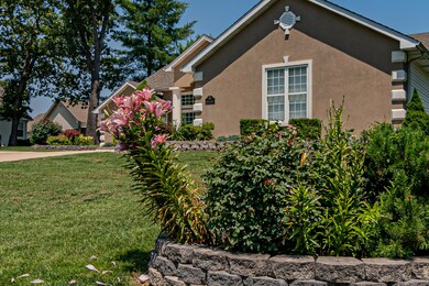 View from Yard