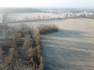 DJI_0655