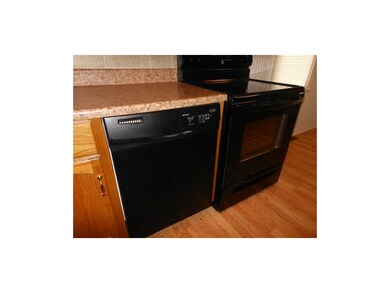Newer Dishwasher and smooth surface electric range