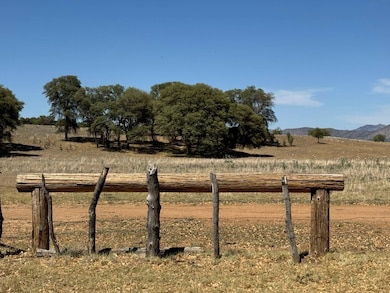 214 Apache Rd San Rafael Valley Rd, Patagonia, AZ 85624 - photo 7