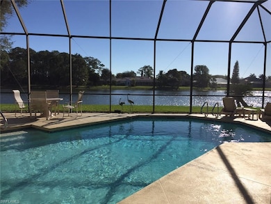 Sparkling pool