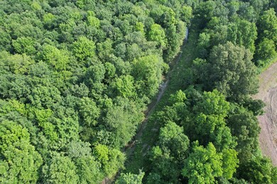 73 Highway 228, Bono, AR 72416 - photo 4