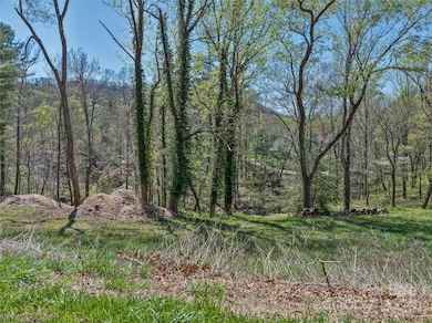 99999 Running Creek Trail, Arden, NC 28704 - photo 3