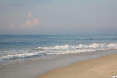 4020 Tupelo Ct unit Birch, Conway, SC 29526 - photo 7