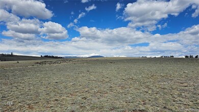 329 Albino Rd unit 173, Jefferson, CO 80456 - photo 4