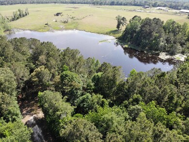 TBD D & G Ln, Whigham, GA 39892 - photo 2