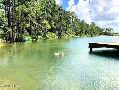 Community lake 3