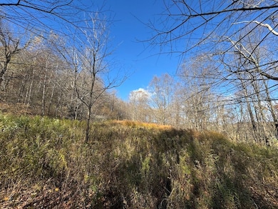 0 E Mountain Rd, Pleasant Mount, PA 18453 - photo 5