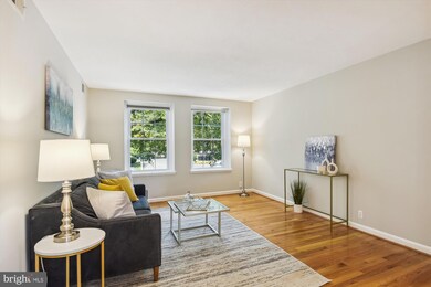 3006 S Columbus St unit B2, Arlington, VA 22206 - photo 7