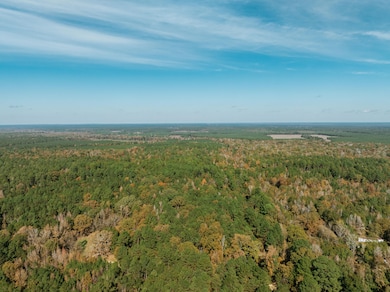 000 County Rd 81, Tinsman, AR 71631 - photo 3