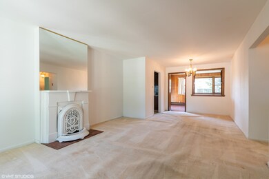 673 E Thacker St, Des Plaines, IL 60016 - photo 4