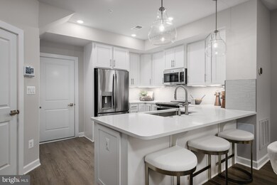 21783 Express Terrace unit 1129A, Ashburn, VA 20147 - photo 5