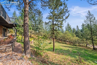 1306 Lime Rock Ln, Colorado Springs, CO 80906 - photo 7