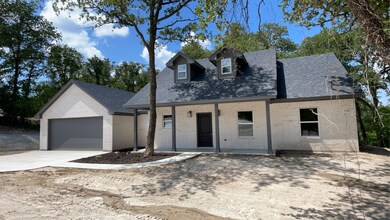 100 Monarch Ln, Poolville, TX 76487 - photo 3