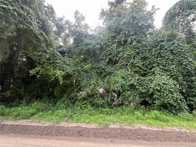 915 Annette Ave, Interlachen, FL 32148 - photo 6