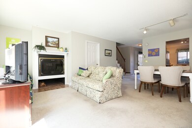 Wood burning Fireplace with new panels