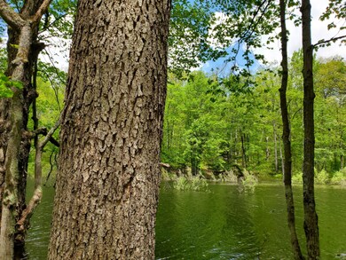 0 50th unit 20019251, Bitely, MI 49309 - photo 3