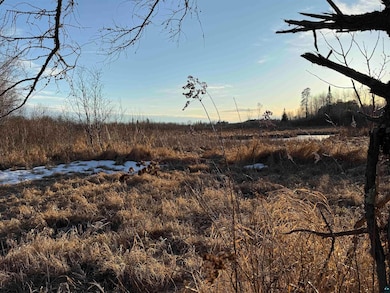 View of landscape